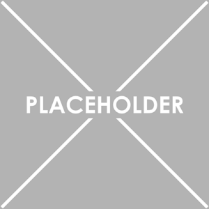 Placeholder-1 500x500