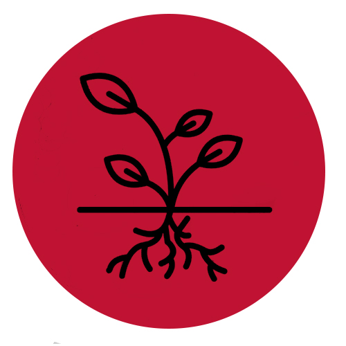 red growth icon